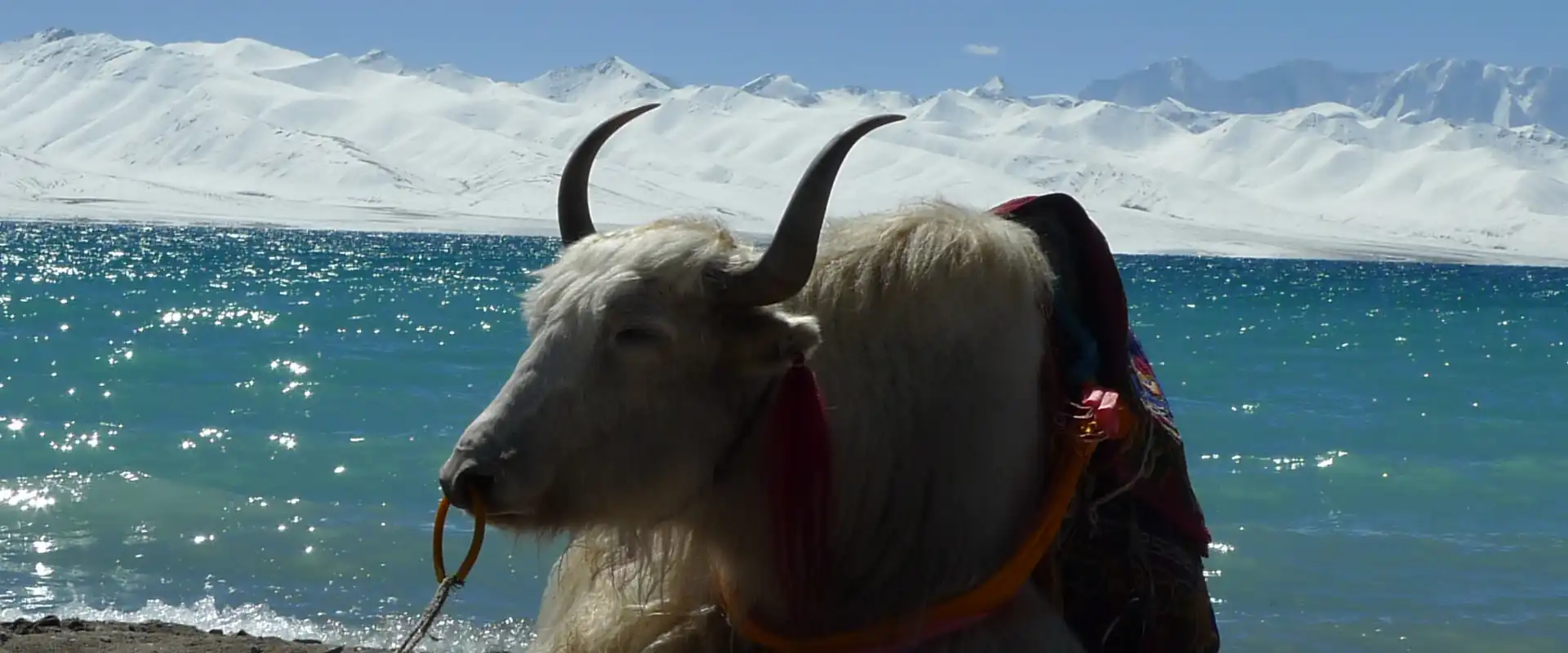 explore namtso lake kris nature