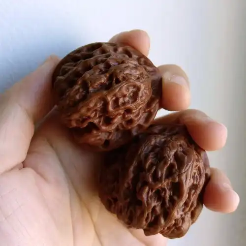 A matched pair of wenwan walnuts with developed reddish patina held in one hand, deep ridges polished by handling | Glint & Grain